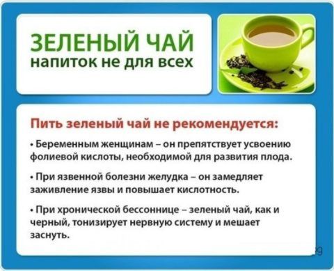 Основные противопоказания к употреблению зеленого чая