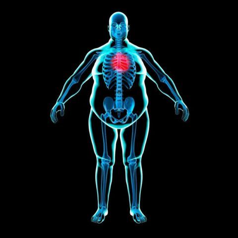 Избыточный вес увеличивает показатели артериального давления.