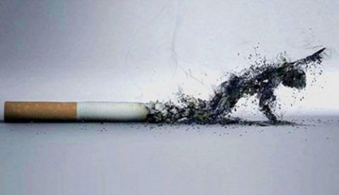 Курение сокращает длительность жизни