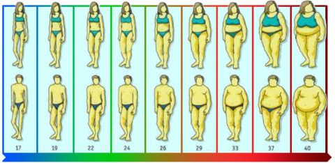 Вес тела