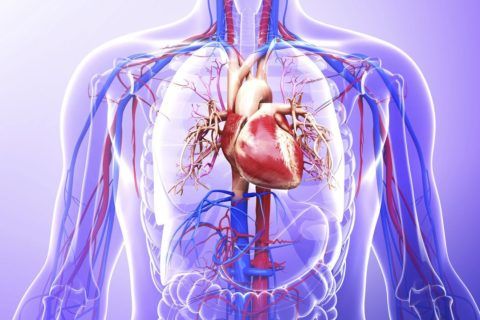 Учащенное сердцебиение встречается практически у каждого кардиологического больного