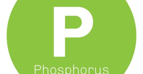 Фосфор