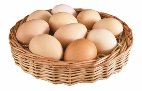 Яйца – источник белка для организма.