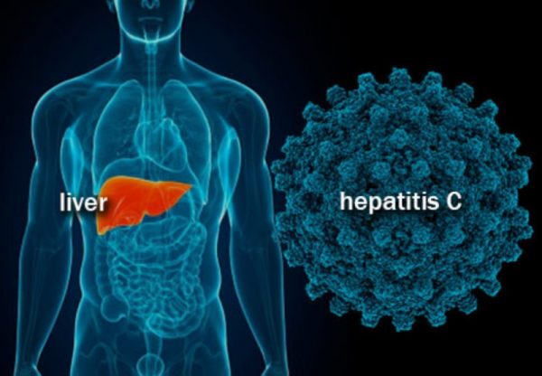 Лечение и профилактика гепатита С