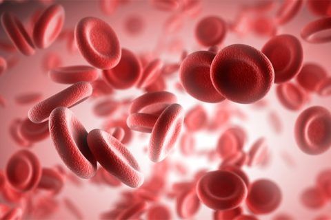 Анемия – патология с низким уровнем кровяных телец.