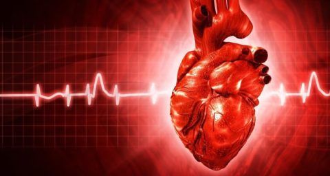 Сердце обеспечивает жизнедеятельность всего организма и сбои в его работе вызывают дисфункцию во всех органах.