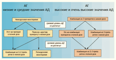 Стартовая терапия АГ (протокол, рекомендованный Российским Обществом кардиологов)