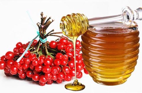 Для укрепления сердечной мышцы и нормализации АД совместно используется мед и калина.