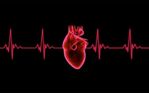 ЭКГ — первая процедура, когда есть подозрения о сердечных сбоях