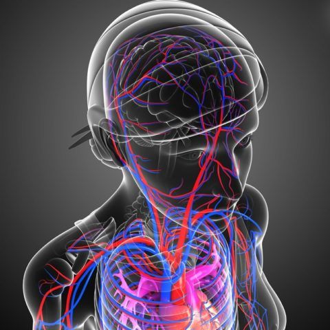 Патологии сердечно-сосудистой системы провоцируют скачки артериального давления в большую и меньшую стороны.